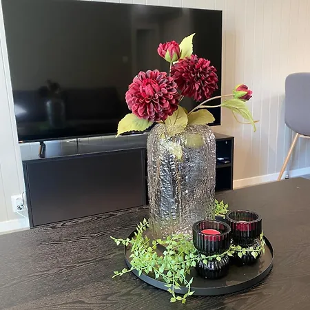 Mycondo No - Farmandstredet Snorres Gate 4b 1 *